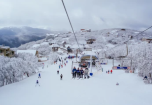 Mt Buller Snow 1-Day Tour from 127 aud