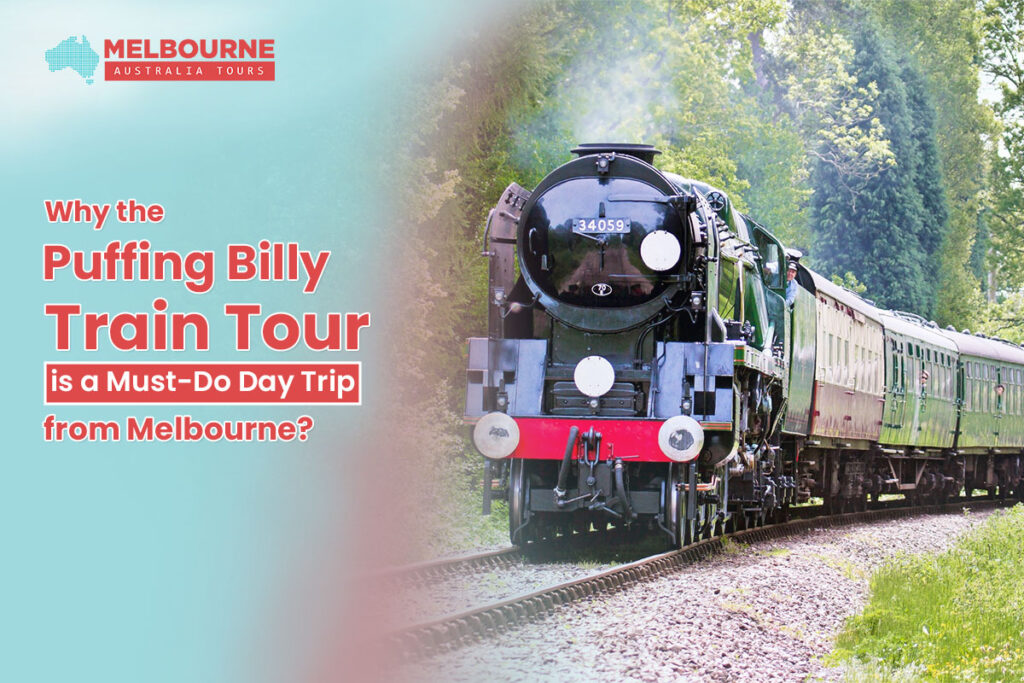 Puffing Billy Train Tour