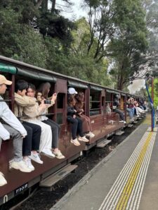 GYG Big Bus Private Puffing Billy Steam Train Ride (up to 21 pax)
