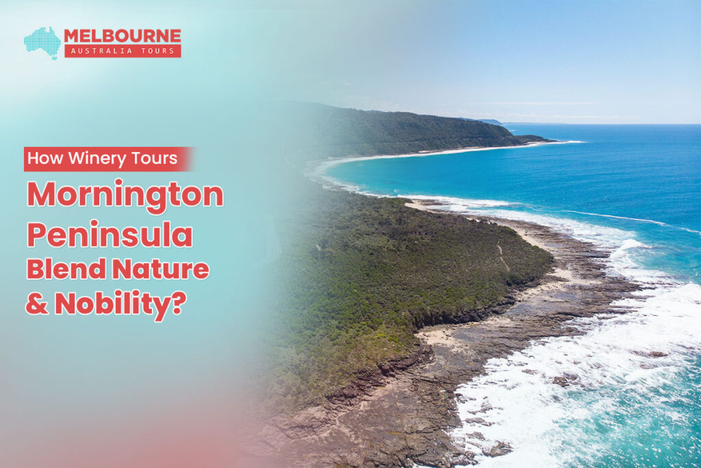 Winery tours in Mornington Peninsula