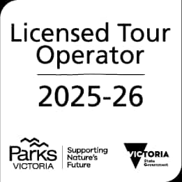 licence tour operator