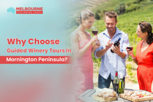 Why Choose Guided Winery Tours In Mornington Peninsula?