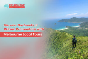 Discover The Beauty Of Wilsons Promontory With Melbourne Local Tours