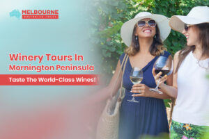 Winery Tours In Mornington Peninsula: Taste The World-Class Wines!