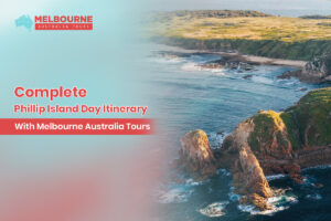Complete Phillip Island Day Itinerary With Melbourne Australia Tours