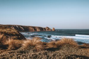 Phillip Island & Penguin Parade Day Tour (8 Person Max)