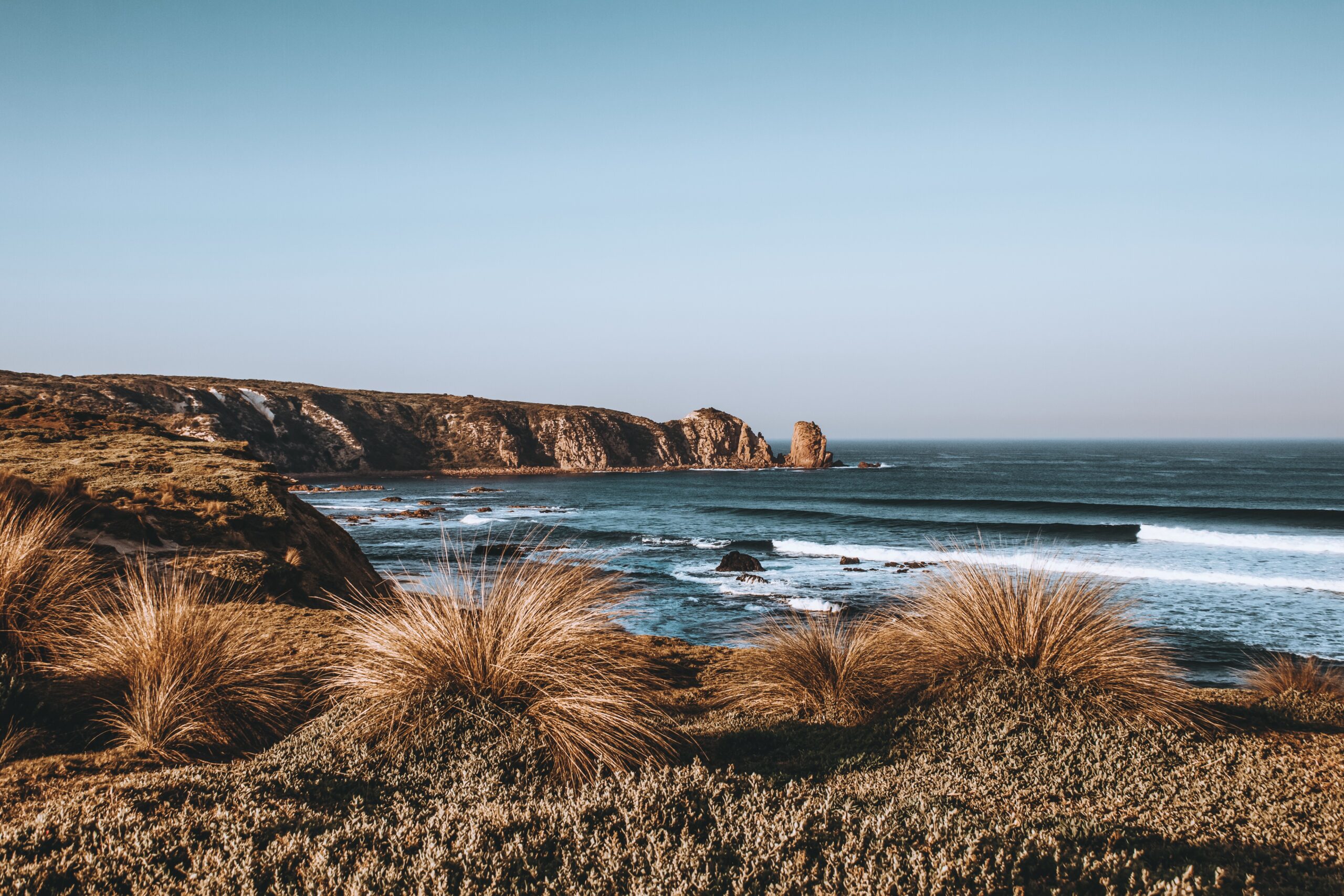 Read more about the article Phillip Island & Penguin Parade Day Tour (8 Person Max)