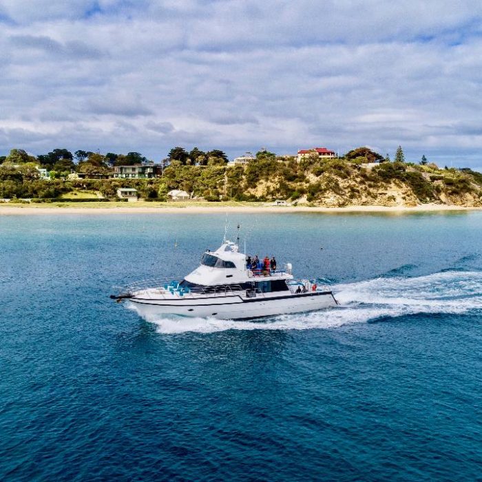 Private Cruise Tour