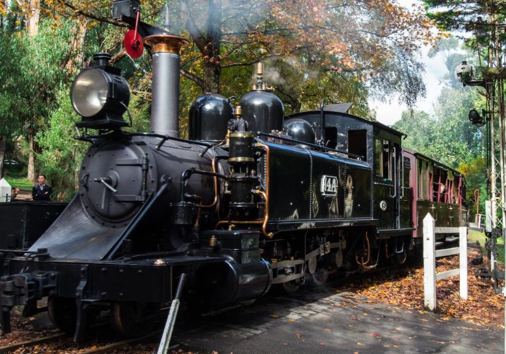 Puffing_Billy_at_crossing_lg