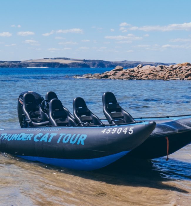 Thundercat ‘The Ride’