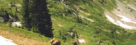 holly-mandarich-7MrXw_o7Eo4-unsplash-scaled